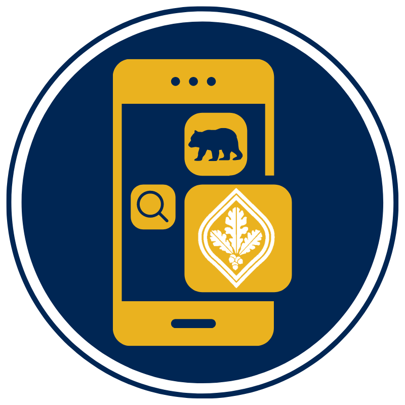 cellphone, bear cub, magnifying glass, SRJC logo